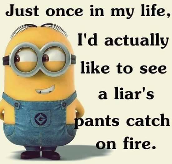 Liar Liar Pants On Fire Nancy S Nuggets